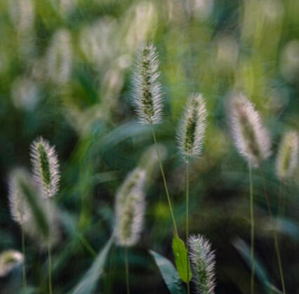 Tanya Haldipur Program director - UK Hub Lead Youth Climate Collaborative